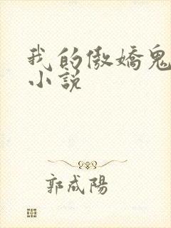 我的傲娇鬼夫 小说