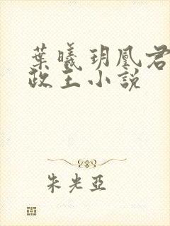 叶曦玥凰君夜摄政王小说