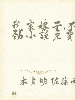 我家娘子,不对劲小说免费阅读全文封面