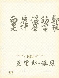 白鹿演的郑书意是什么电视剧