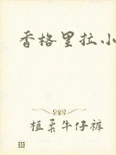 香格里拉小说封面