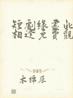 短剧缘尽此生不相逢免费观看