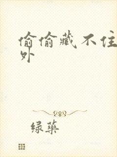 偷偷藏不住 番外