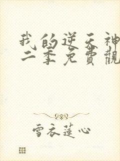 我的逆天神器第二季免费观看