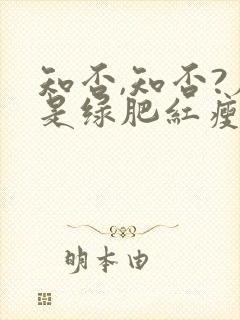 知否,知否?应是绿肥红瘦原著封面