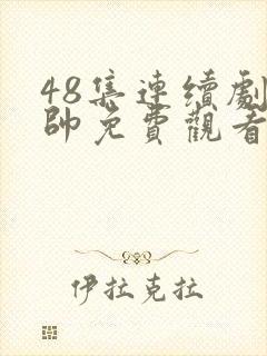 48集连续剧少帅免费观看高清