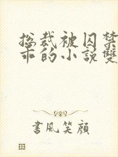 总裁被囚禁后变乖的小说双男封面