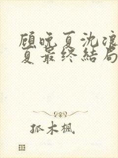 顾晚夏沈浪顾晚夏最终结局