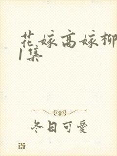 花嫁高嫁柳家第1集