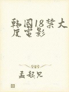 韩国18禁大尺度电影封面