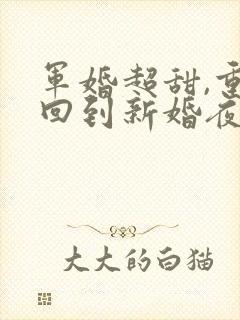 军婚超甜,重生回到新婚夜封面