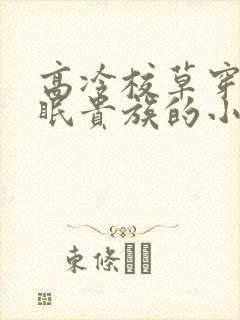 高冷校草穿成催眠贵族的小说