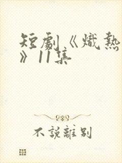 短剧《炽热吸引》11集