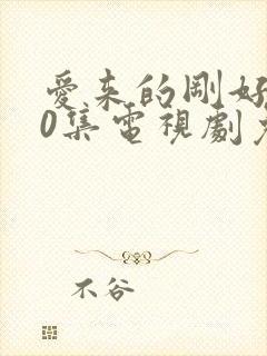 爱来的刚好第60集电视剧免费观看