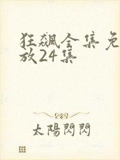 狂飙全集免费播放24集