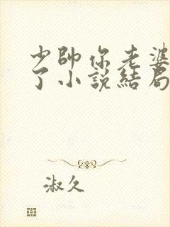 少帅你老婆又跑了小说结局封面