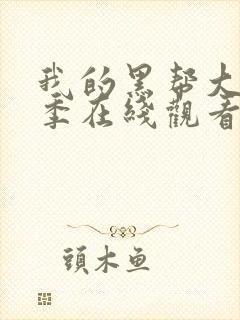 我的黑帮大佬4季在线观看免费封面