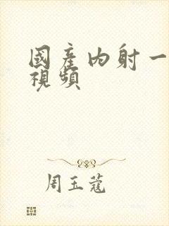 国产内射一级片视频