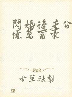 闪婚后老公竟是亿万富豪封面