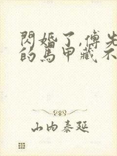 闪婚了,傅先生的马甲藏不住了结局封面