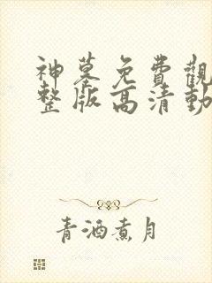 神墓免费观看完整版高清动漫在线