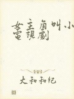 女主角叫小蝶的电视剧封面