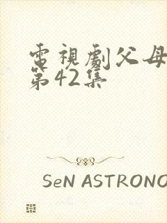 电视剧父母爱情第42集