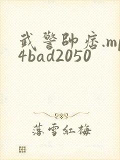 武警帅痞.mp4bad2050