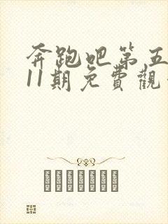 奔跑吧第五季第11期免费观看完整版