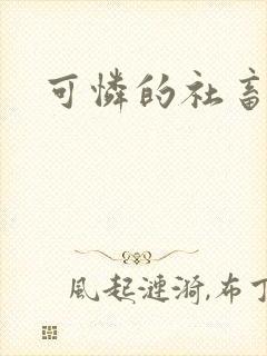 可怜的社畜小说