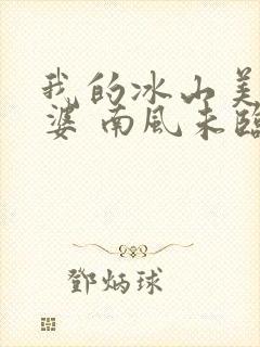 我的冰山美女老婆 南风未临