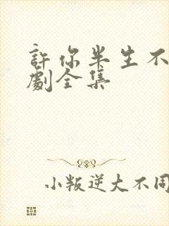 许你半生不见短剧全集