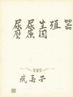 尿尿生殖器疼什么原因