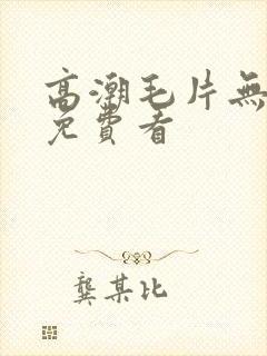 高潮毛片无遮掩免费看