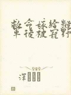 救命嫁给糙汉将军后被宠野了完本