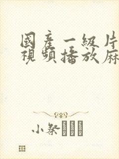 国产一级片内射视频播放麻豆