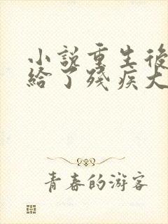 小说重生后我嫁给了残疾大佬