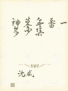 神墓年番一共有多少集封面