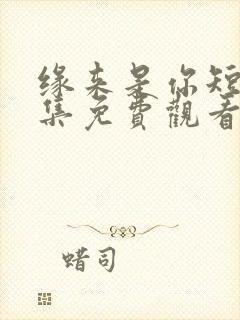 缘来是你短剧全集免费观看高清