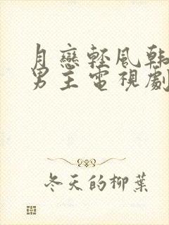 月恋轻风韩剧双男主电视剧在线观看封面