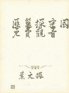 匪巢探密国语版免费观看