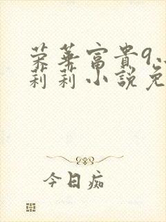 荣华富贵9小王莉莉小说免费阅读