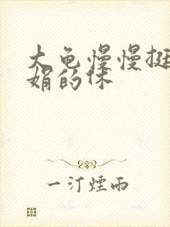 大龟慢慢挺进张娟的休