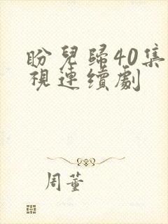 盼儿归40集电视连续剧