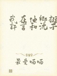 我在他乡挺好的许言和沈子畅结局