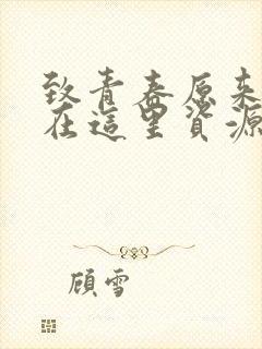 致青春原来你还在这里资源