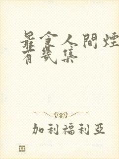 最食人间烟火色有几集