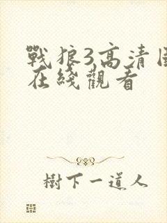 战狼3高清国语在线观看