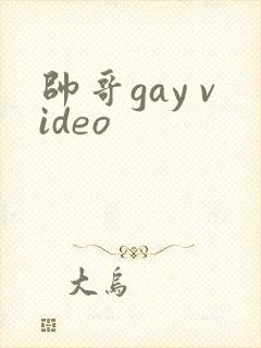 帅哥gay video