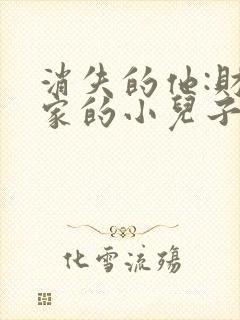 消失的他:财阀家的小儿子